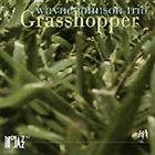 WAYNE JOHNSON Grasshopper album cover