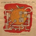 WEASEL WALTER — Electric Fruit (with Mary Halvorson & Peter Evans ) album cover