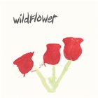 WILDFLOWER Better Times album cover