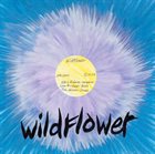 WILDFLOWER Wildflower album cover