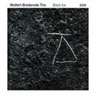 WOLFERT BREDERODE Black Ice album cover