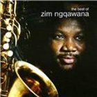 ZIM NGQAWANA Best Of album cover