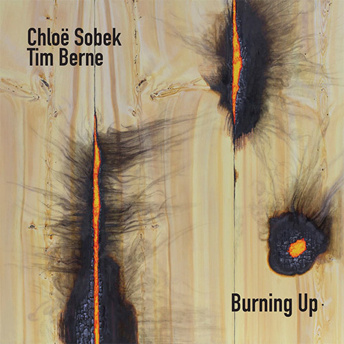 TIM BERNE - Chloe Sobek / Tim Berne : Burning Up cover 