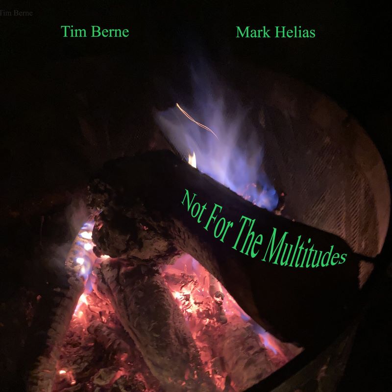 TIM BERNE - Tim Berne / Mark Helias : Not For The Multitudes cover 