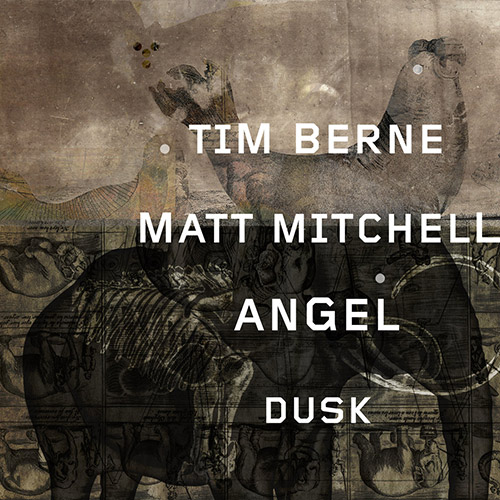 TIM BERNE - Tim Berne / Matt Mitchell : Angel Dusk cover 