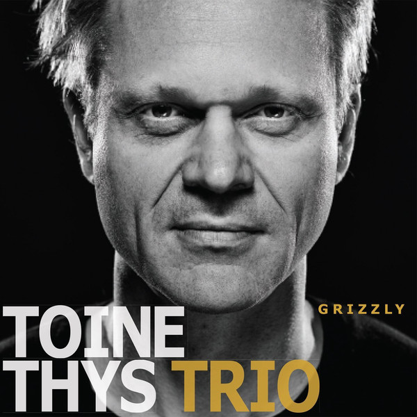 TOINE THYS - Grizzly cover 