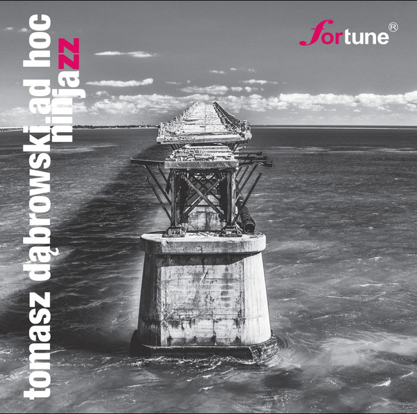 TOMASZ D&amp;#132;BROWSKI - Tomasz Dabrowski AD HOC &amp;#128;&amp;#142;: Ninjazz cover 