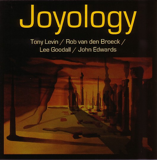 TONY LEVIN (DRUMS) - Joyology (with Rob van den Broeck / Lee Goodall / John Edwards) cover 