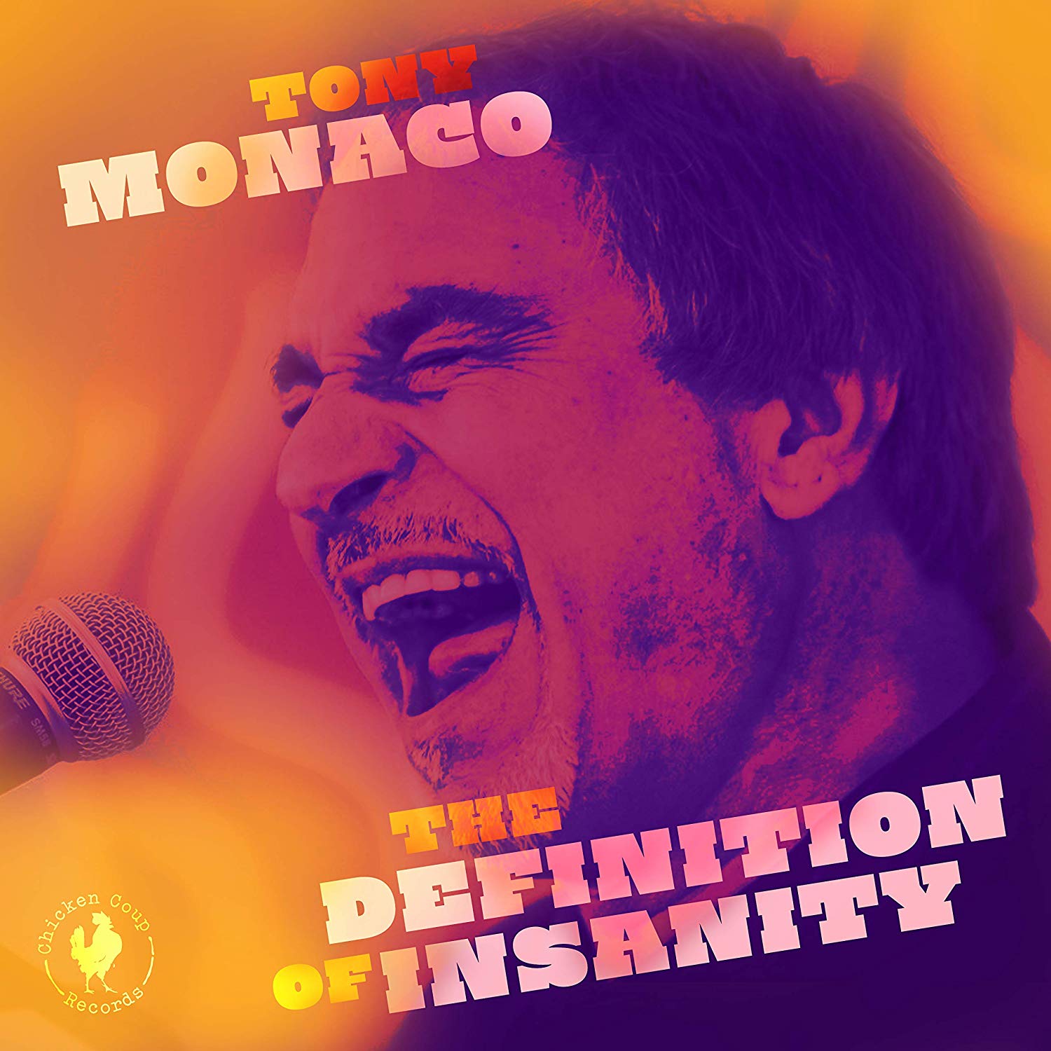 TONY MONACO - The Definition Of Insanity cover 