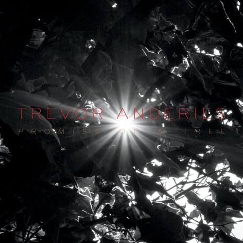 TREVOR ANDERIES - Promise of a Tree cover 