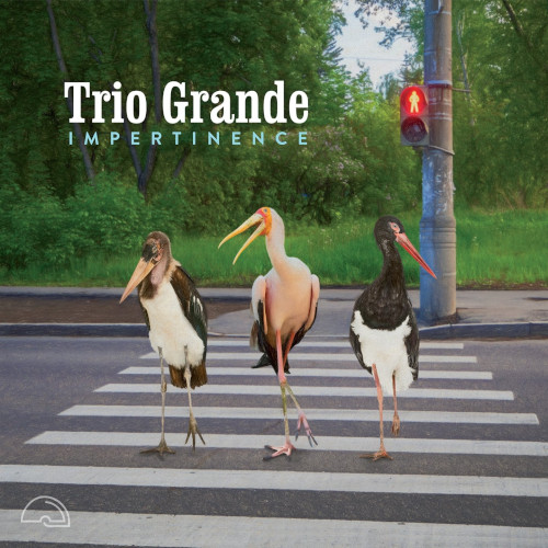 TRIO GRANDE (BELGIUM) - Impertinence cover 