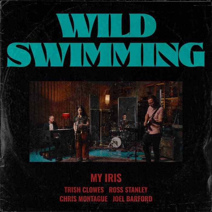 TRISH CLOWES - Wild Swimming cover 