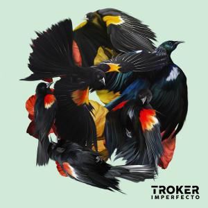 TROKER - Imperfecto cover 