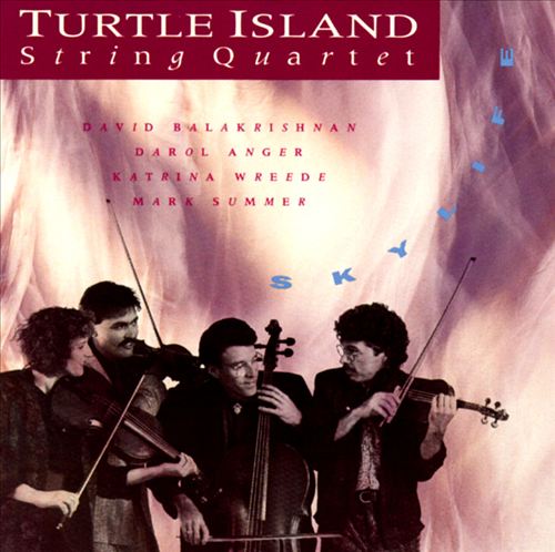 TURTLE ISLAND STRING QUARTET - Skylife cover 