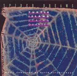 TURTLE ISLAND STRING QUARTET - Spider Dreams cover 