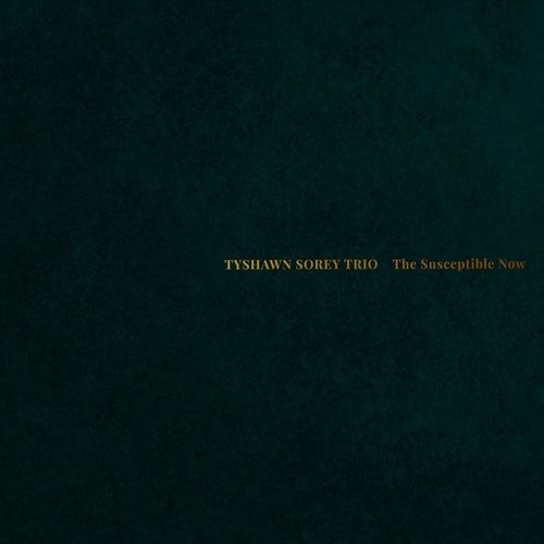 TYSHAWN SOREY - The Susceptible Now cover 