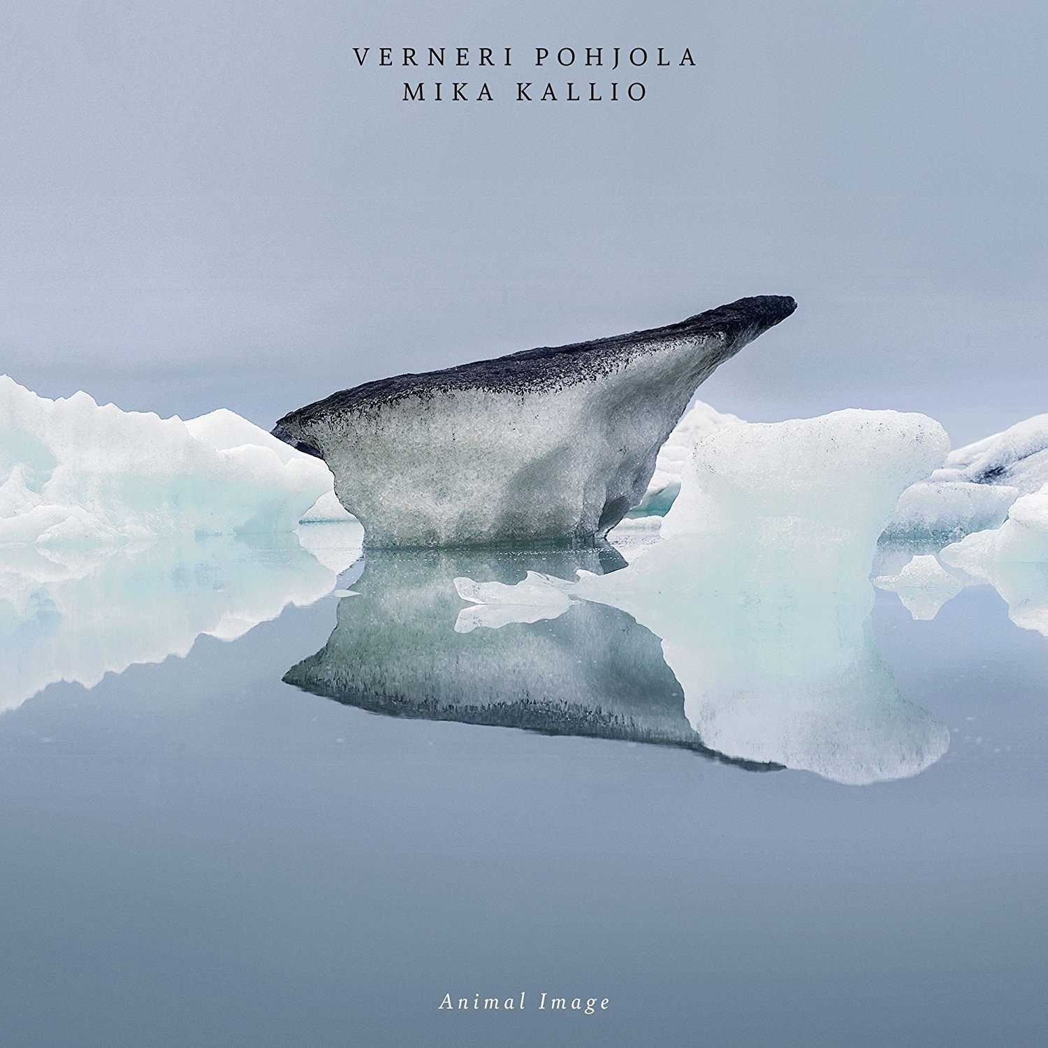 VERNERI POHJOLA - Verneri Pohjola & Mika Kallio : Animal Image cover 