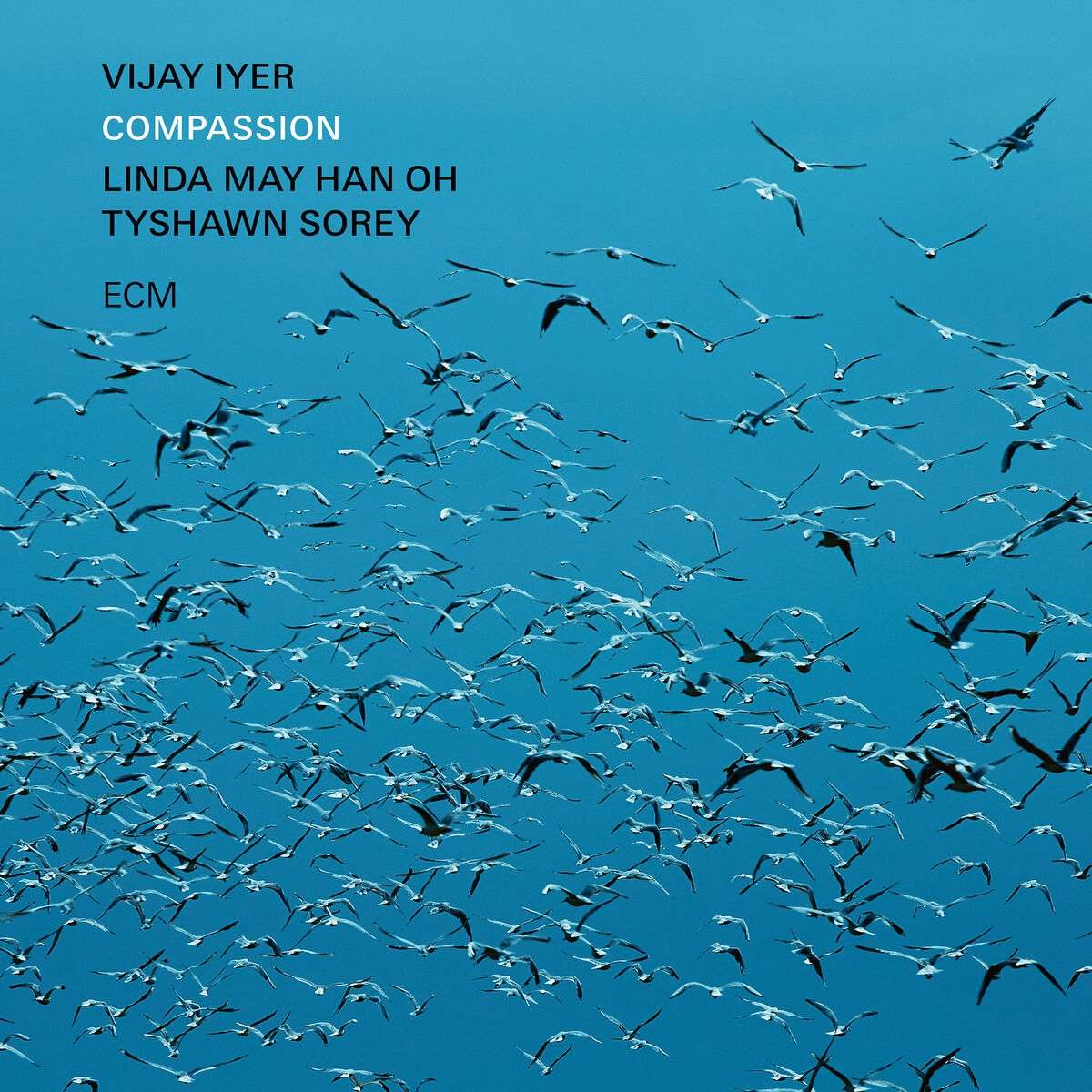 VIJAY IYER - Vijay Iyer, Linda May Han Oh & Tyshawn Sorey : Compassion cover 