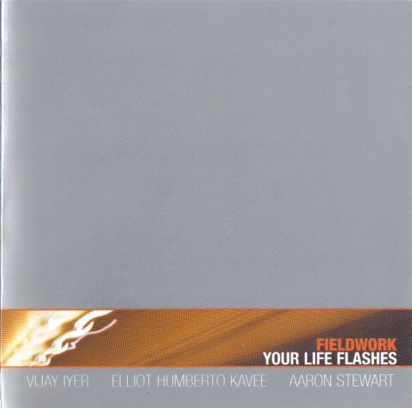 VIJAY IYER - Fieldwork : Your Life Flashes cover 