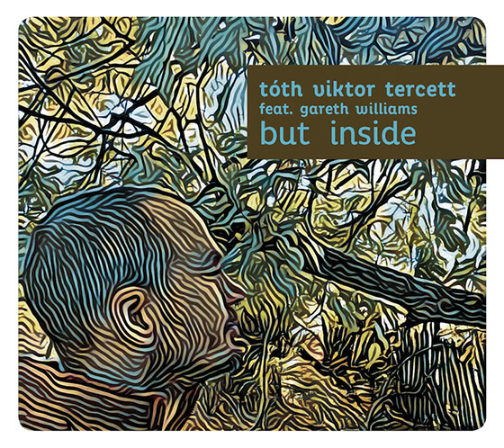 VIKTOR TÓTH - Tóth Viktor Tercett feat. Gareth Williams : But Inside cover 