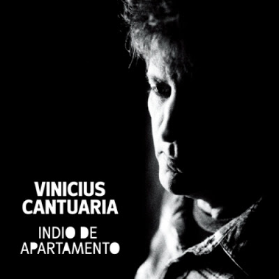 VINICIUS CANTUÁRIA - Indio De Apartamento cover 