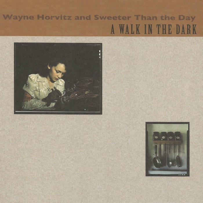 WAYNE HORVITZ - A Walk in the Dark cover 