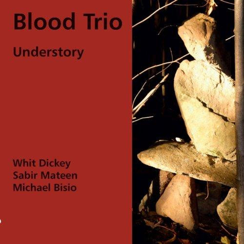 WHIT DICKEY - Blood Trio ‎: Understory cover 