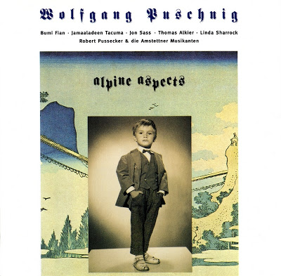 WOLFGANG PUSCHNIG - Alpine Aspects cover 