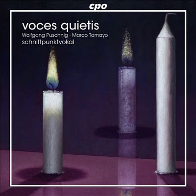 WOLFGANG PUSCHNIG - Wolfgang Puschnig / Schnittpunktvocal / Marco Tamayo : Voces Quietis cover 