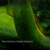 YURI HONING WIRED PARADISE - Temptation cover 