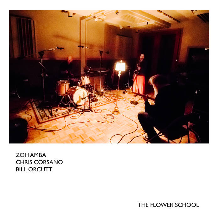 ZOH AMBA - Zoh Amba, Chris Corsano, Bill Orcutt : The Flower School cover 